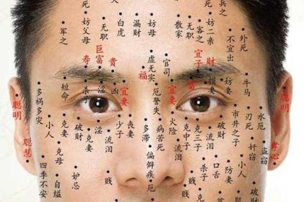 男生眉毛短：面相解析与个性特征探讨