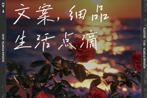 闲命：解密生活中的点滴乐趣与深意