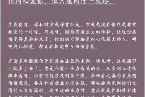 属猪人的命运解析：智慧与机遇交织的生命旅程