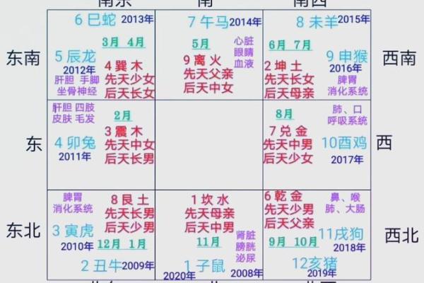 命理与中医：如何通过命格选择学习中医的最佳时机与路径