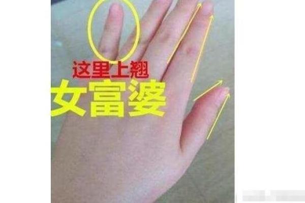 好命女孩的命：缘分与努力编织的幸福人生