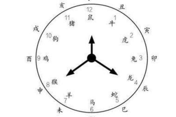 1939年出生的人命卦解析：命运与性格的启示