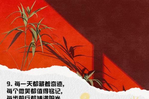 相依为命：生活中的温暖与坚持，携手共渡每一个日夜