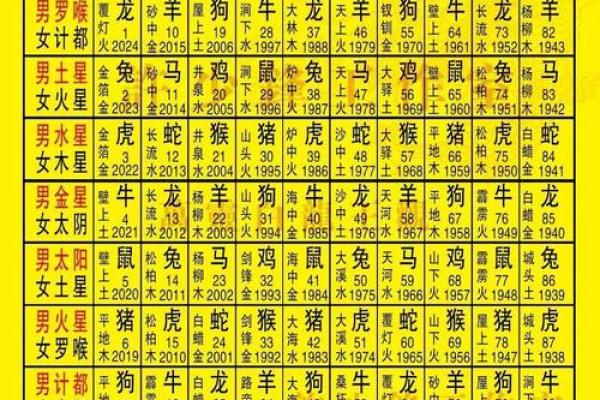 2003年羊男：命运与事业的深刻解析