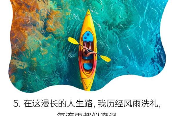 命途多舛，人生起伏的启示与思考