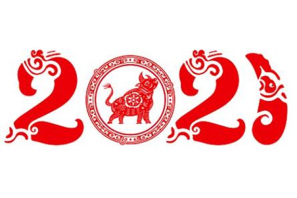 2022年是什么牛命？探寻牛年的神秘与快乐！