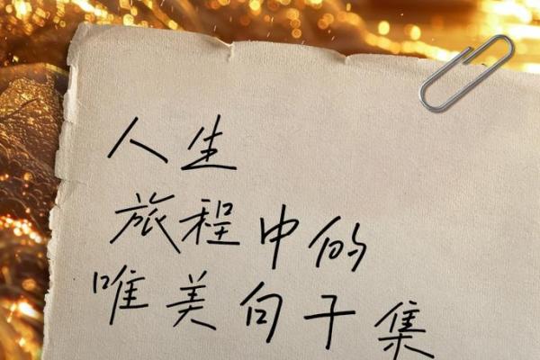 探秘六十干支：解读壬午命的命理特征与人生旅程