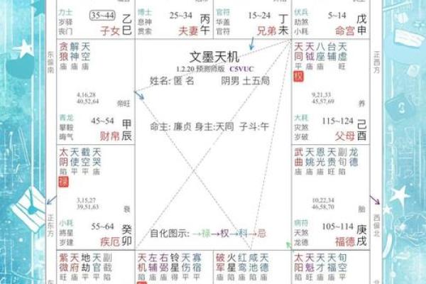 探索命盘的奥秘：适合新手的最佳书籍推荐