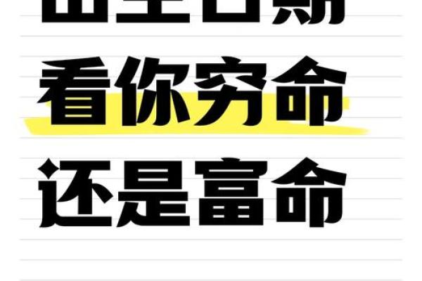 解析1979年2月20日出生者的命运与性格特点