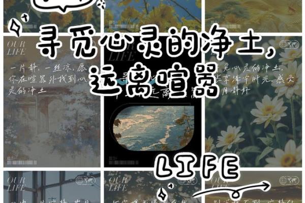 冬月土命的色彩之道：寻找心灵的宁静与平衡