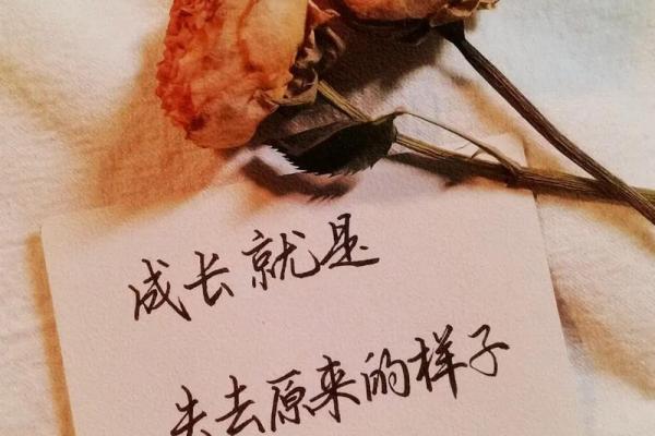 86炉中火命的幸运之道：喜好与生活的完美平衡