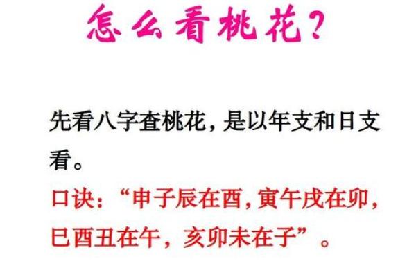 揭秘劫财女命与克夫命格：如何通过命理看待人生沟通与桃花运