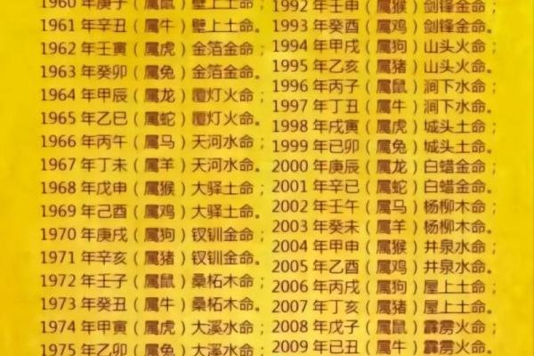 适合木命人的专业选择与发展之路