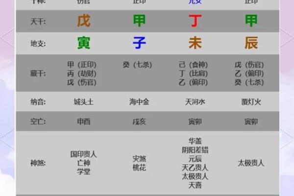 1995年甲戌年：命理解析与人生启示
