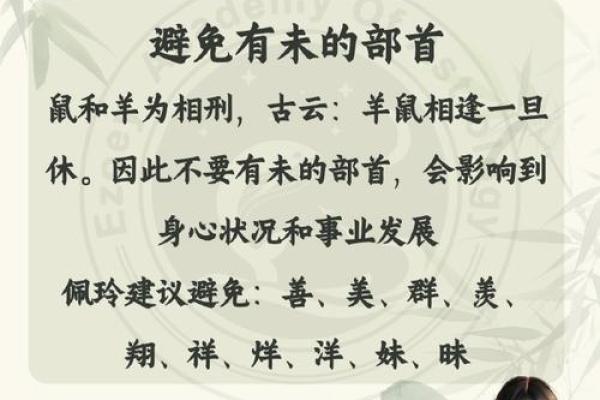 1996年出生的鼠命之人：命理缺失与人生启示
