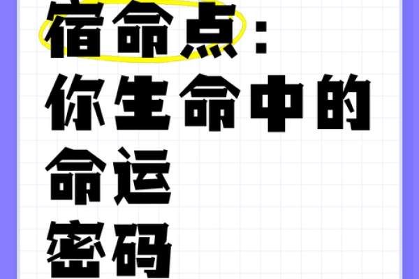 95年属猪的命运与性格解析：解锁你的生命密码
