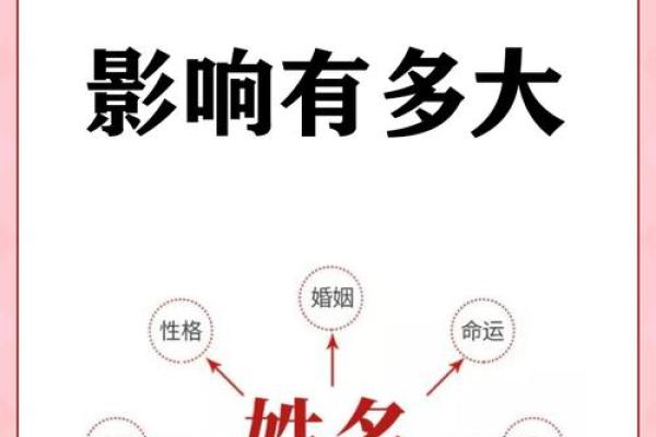 95年属猪的命运与性格解析：解锁你的生命密码