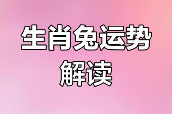 1999年属兔：灵动与智慧的象征，探秘兔年的命理与生活