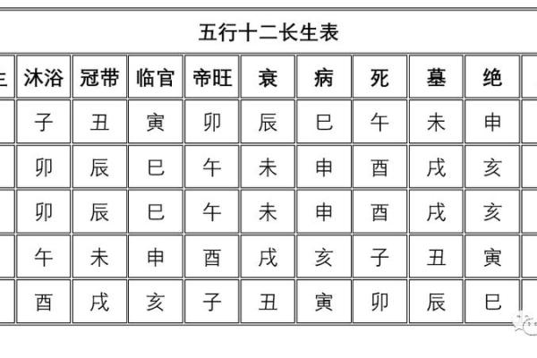 乙丑丁亥癸亥壬戌命理解析：揭开五行命格的神秘面纱