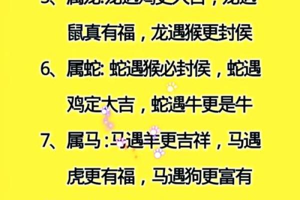 12月的命理奥秘：揭示冬季之美与属相的特别含义
