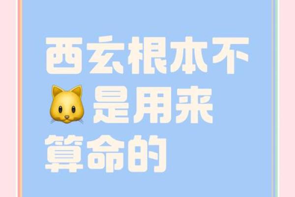 命里带编的秘密：揭开命理配置背后的神奇力量