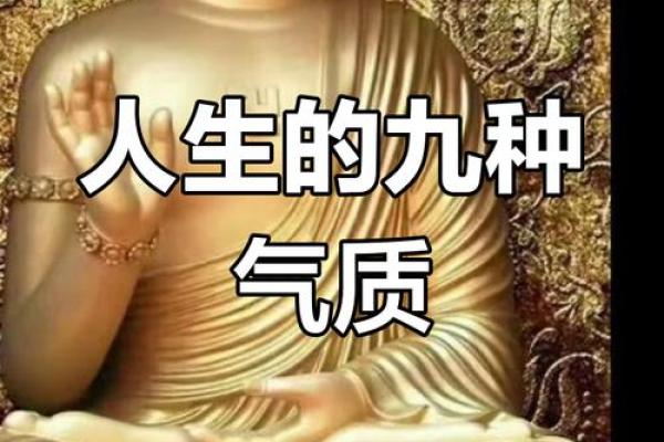 从脾气看命运：聆听《什么脾气就是什么命》的心灵启示