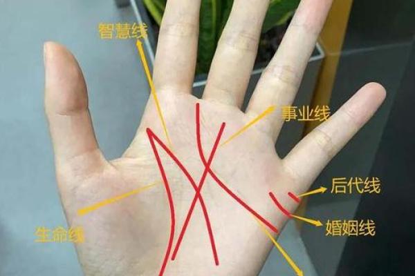 手纹的秘密：干净手纹与命运的深刻关联