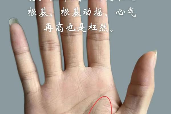 手纹的秘密：干净手纹与命运的深刻关联