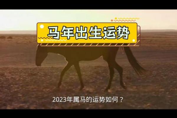 1990年男属马的命理解析与人生运势探讨