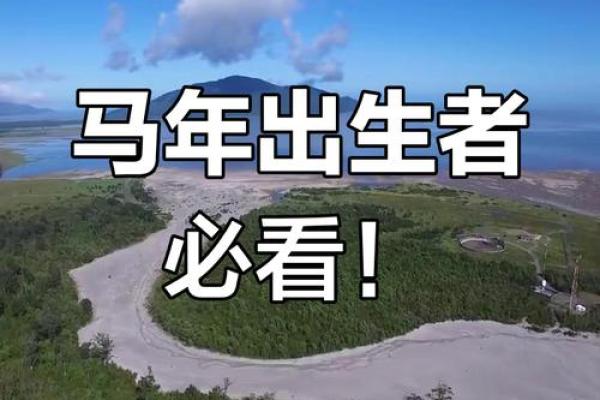 1930年出生的马属命：畅游在生命的韵律中