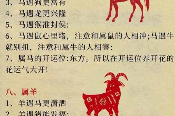 1994年出生的人命运解析：生肖与人生的奇妙关系