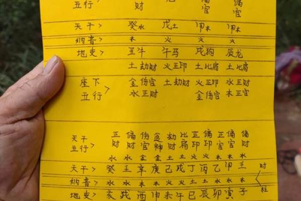 一九六七年出生命运解析：探索人生的奇妙旅程与命理奥秘