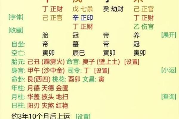 壬寅庚戌丁酉辛丑八字命理深探：探秘五行之间的命运之旅