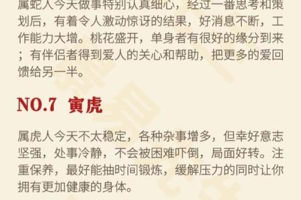 农历14日出生的属相与命运解析，解锁人生奥秘！
