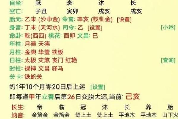 癸巳年生人，甲子命的独特特征与人生解析