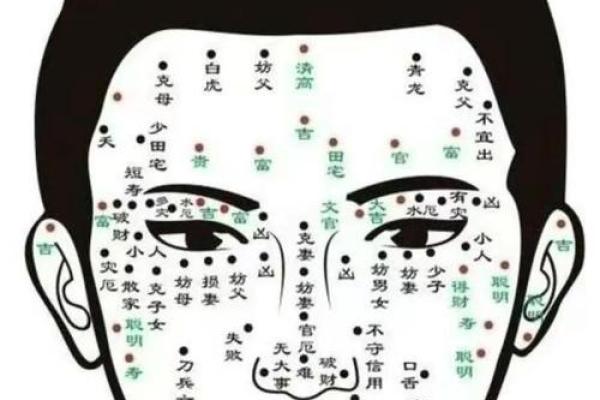 揭秘：睾丸上有痣的秘密与命运解析