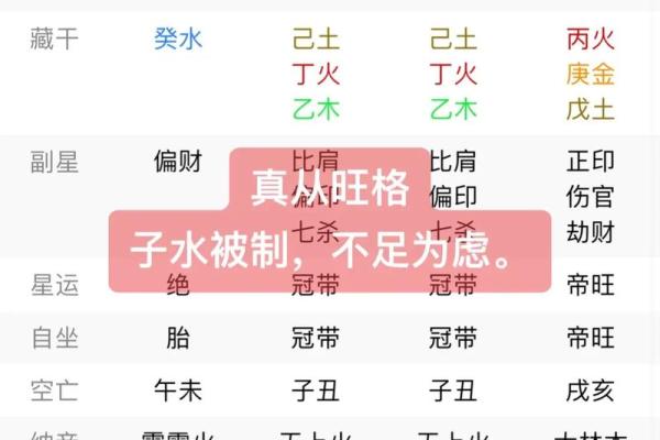 探究己巳日诞生的命理奥秘，揭示人生的独特轨迹