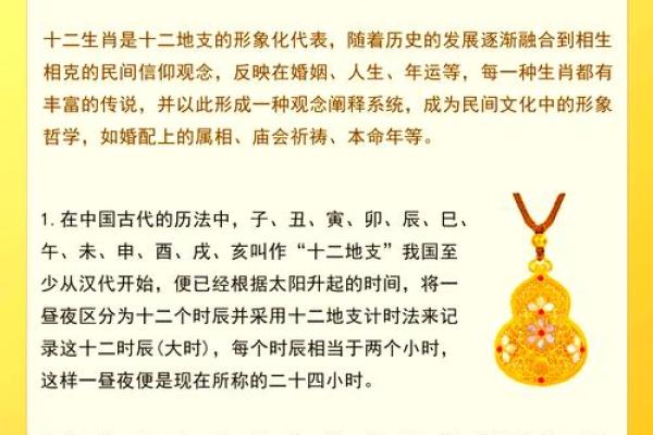 探索食命之谜：揭开生肖背后的秘密