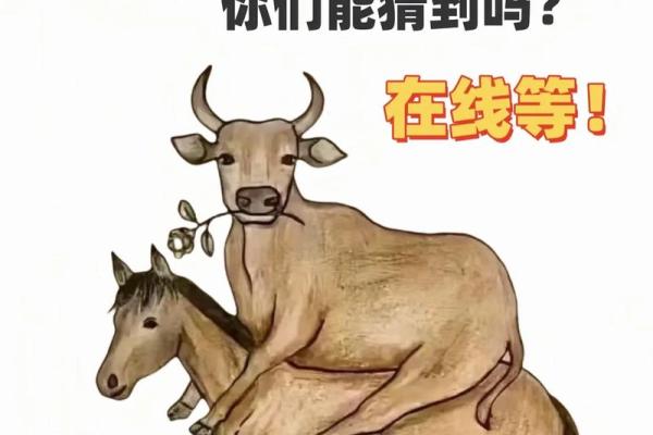 以图猜成语，趣味无穷的命题游戏！
