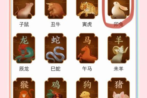 探秘1963年：兔年命理解读与人生运势分析