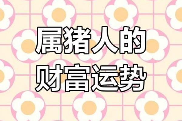 1950年属猪的命运与性格解析：走进猪年人的世界