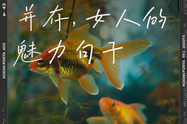 揭秘漂亮女人的命格：容颜背后的命运与智慧