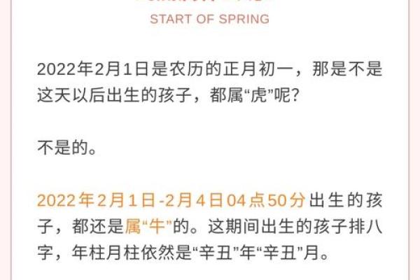 属虎女孩的最佳命运：选择与梦想同行的精彩人生
