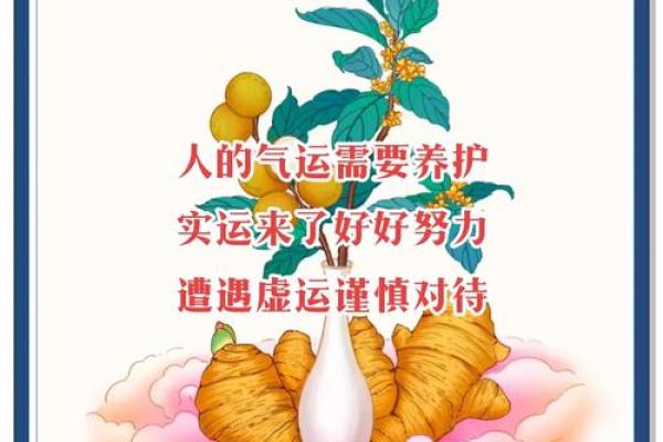 深入解析2016年属狗人的命格与人生轨迹
