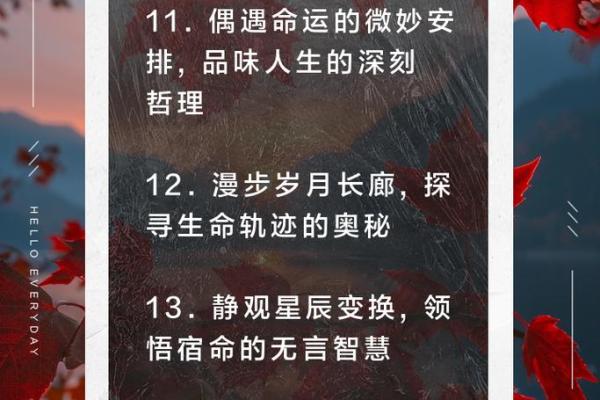 女人脚散乱象征的命运与人生哲学探讨