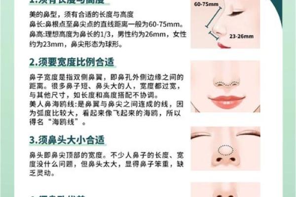 男人牛骨鼻子是什么命？解读鼻相与命运的奥秘