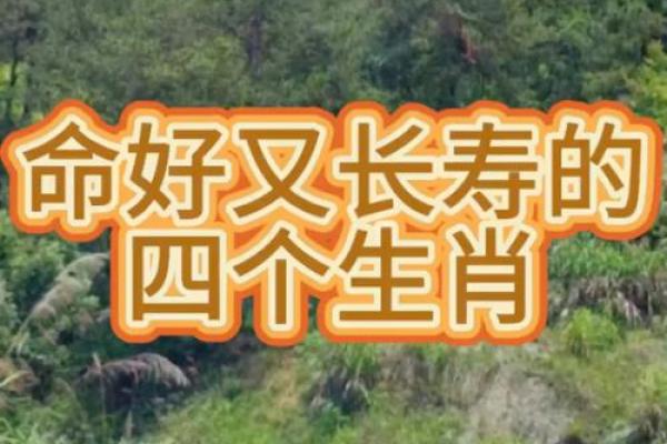 113岁属什么生肖？揭开长寿背后的生肖之谜！