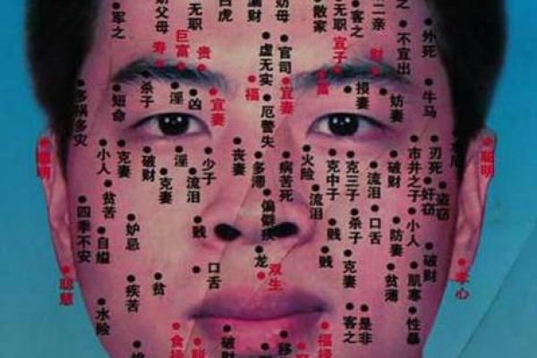 男人弯眉毛的命运解读：人生的隐秘信号与性格特征