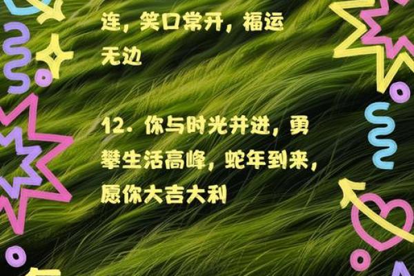 揭秘2002年蛇年：命运、性格与幸运之道