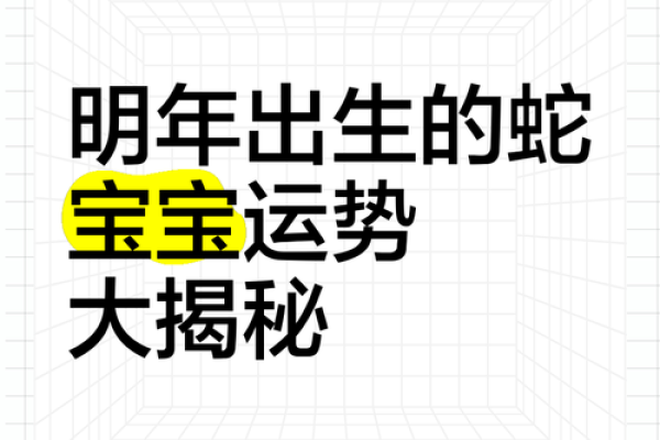 揭秘2002年蛇年：命运、性格与幸运之道